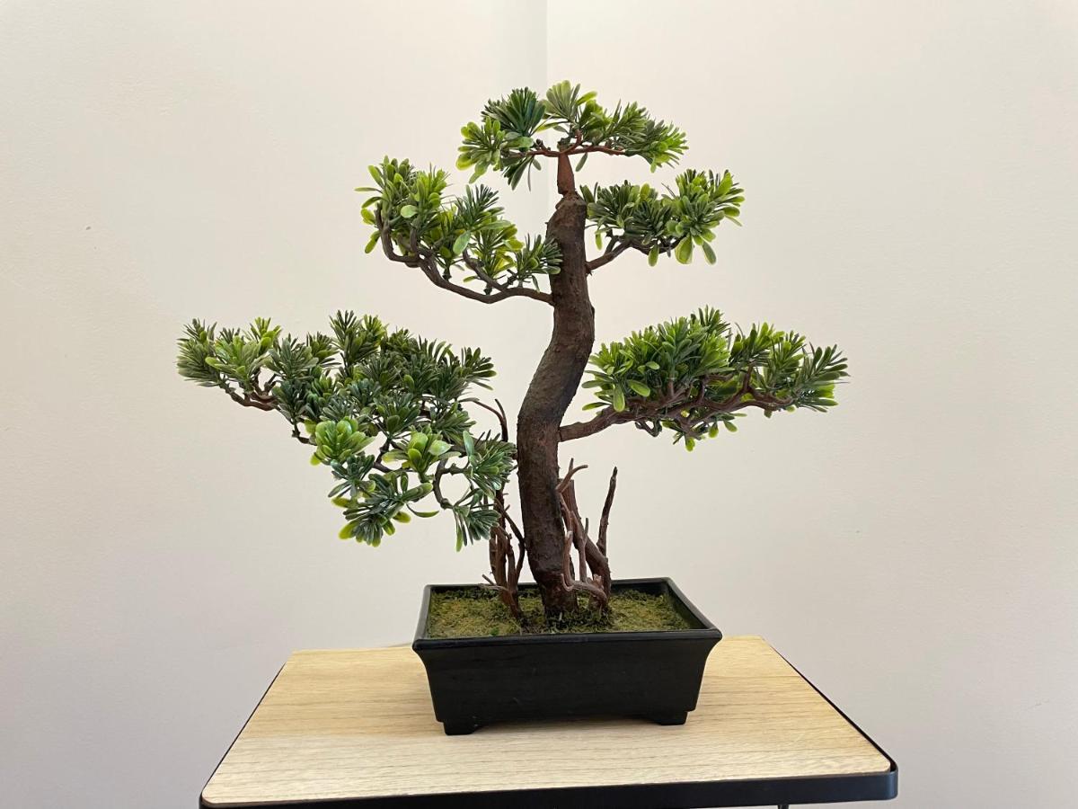Gav Los Remedios 론다 외부 사진